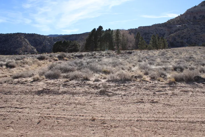 Expansive desert landscape with natural vegetation, framed by distant mountains and scattered trees