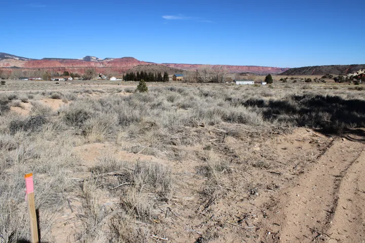 Expansive undeveloped land featuring natural desert vegetation