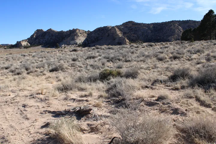 Expansive natural terrain featuring sparse, arid vegetation