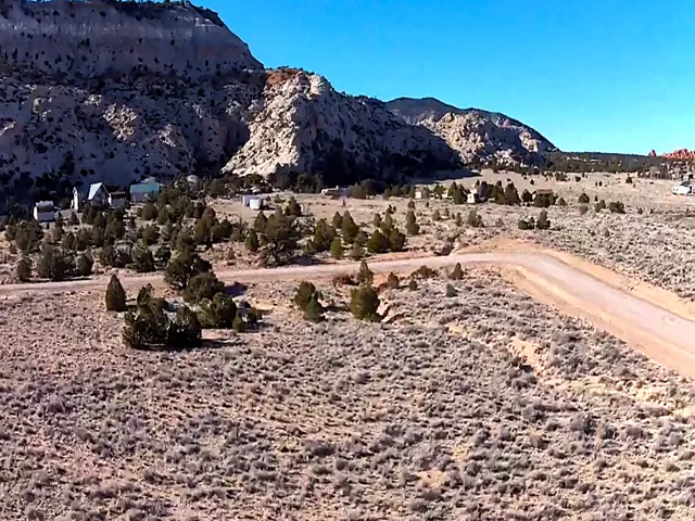 Expansive desert landscape with scattered evergreen trees and scrub brush