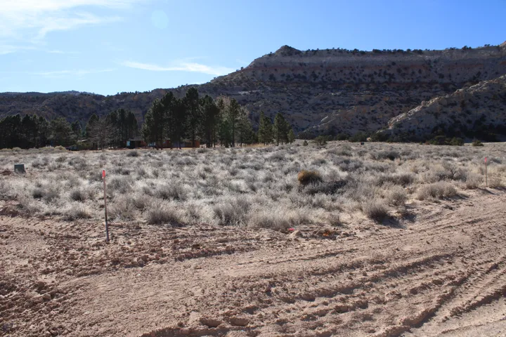 Expansive desert landscape featuring natural brush, distant evergreens, and rugged rock formations