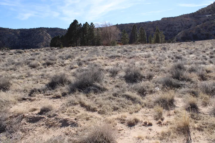 Expansive open terrain featuring natural desert vegetation