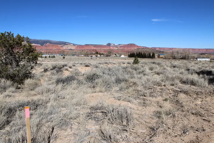 Expansive arid land featuring natural shrubbery and a clear horizon