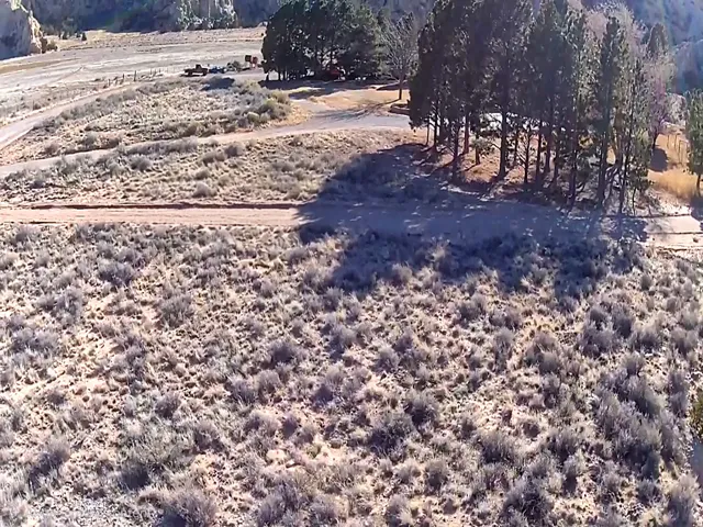 Expansive undeveloped land featuring natural terrain with scattered brush, a dirt access road, and mature evergreen trees at the property's edge