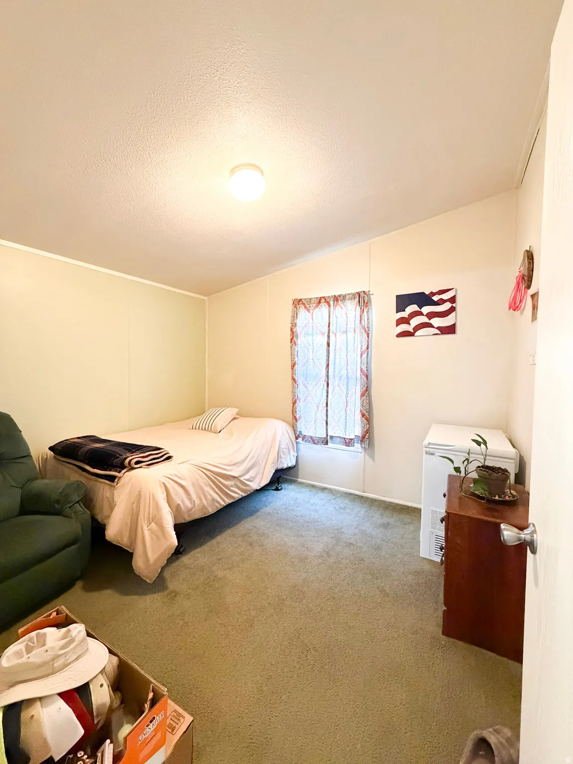 Carpeted room with a ceiling-mounted light fixture, a window with curtains, and light-toned walls