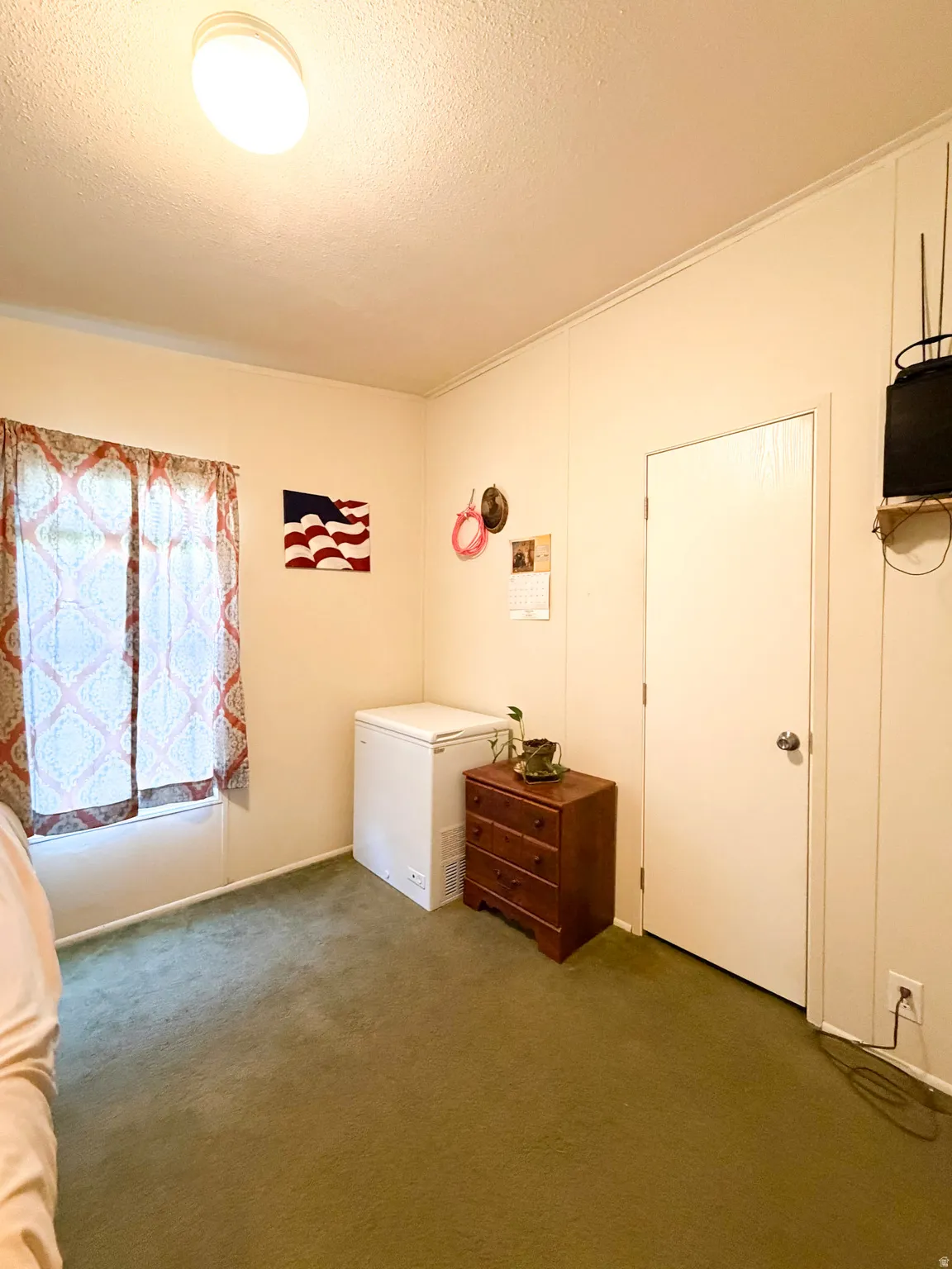 Interior room featuring wall-to-wall carpeting, light-toned wall paneling, and a flush-mount ceiling light fixture