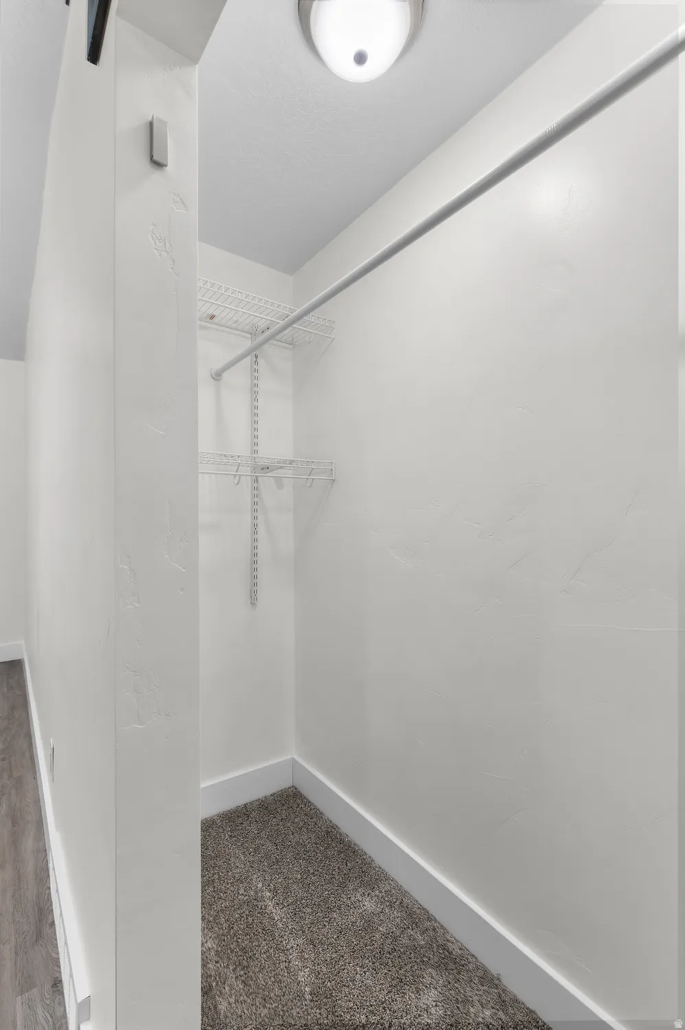 Walk-in closet featuring carpet flooring, built-in wire shelving, and a metal hanging rod