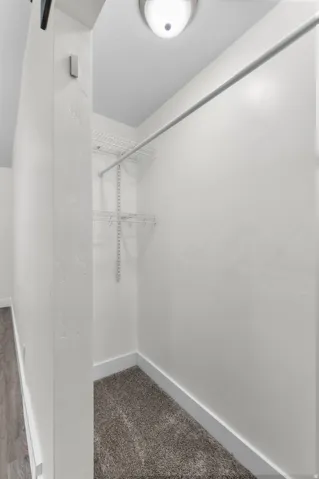 Walk-in closet featuring carpet flooring, built-in wire shelving, and a metal hanging rod