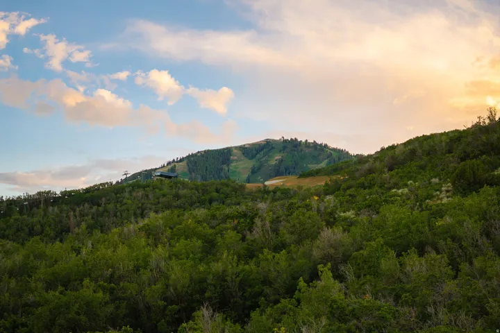 Mountainous terrain featuring extensive green foliage and distant ski slopes