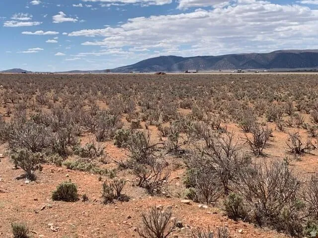 Expansive land parcel featuring natural desert vegetation and a distant mountain range backdrop