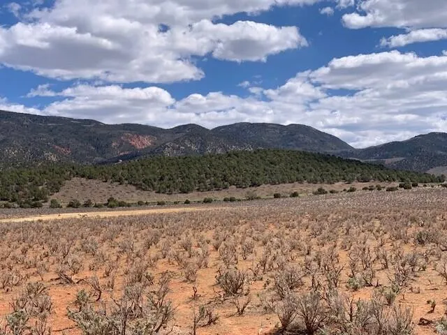 Expansive desert landscape with scattered low-lying vegetation