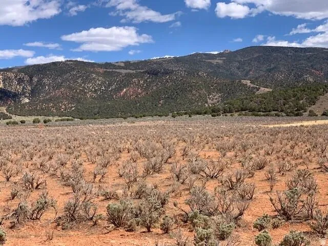 Expansive desert landscape featuring natural brush and a mountainous backdrop