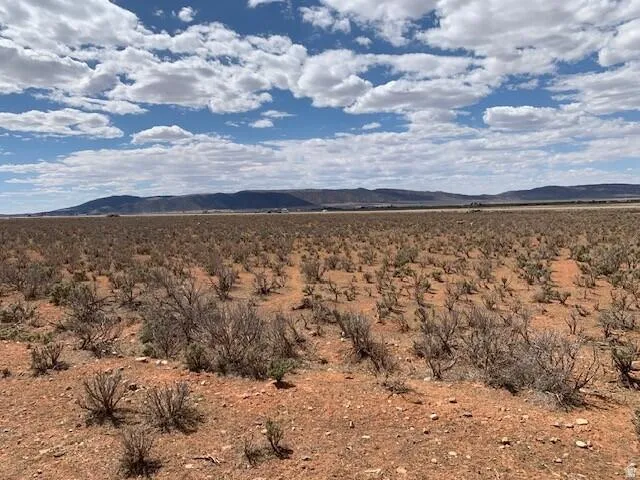 Expansive open land with arid vegetation and a distant mountain range