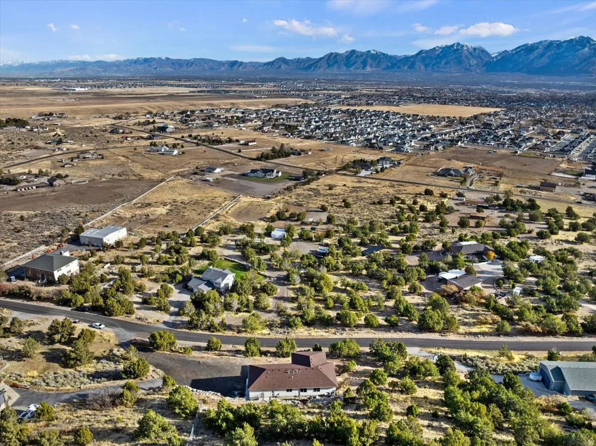Expansive residential area featuring numerous single-family homes, mature trees, and paved roads