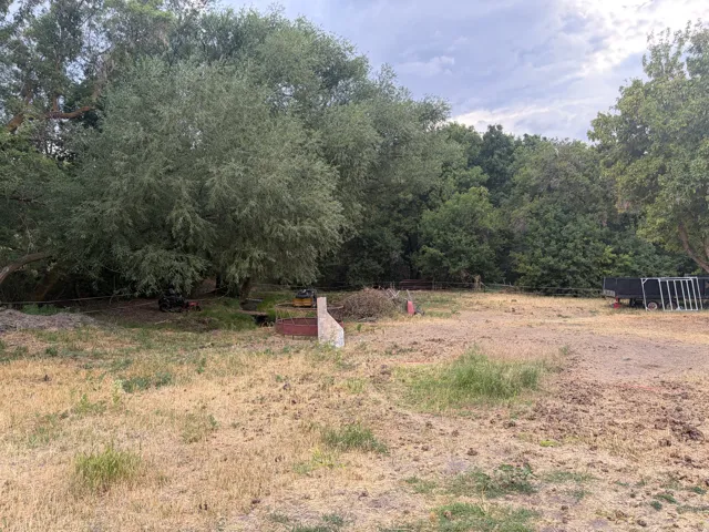 Expansive outdoor space featuring mature trees and a substantial open area, bordered by additional trees