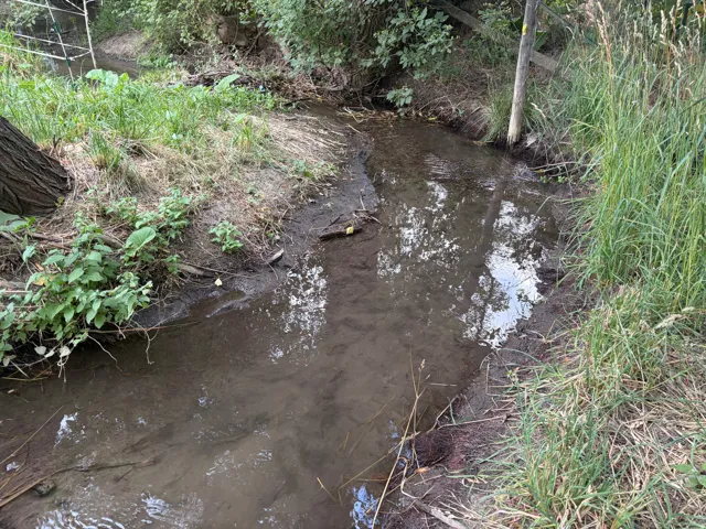 Natural waterway bordered by varied vegetation