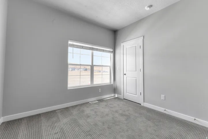Light gray wall paint, patterned gray carpeting, white trim, and a white paneled door