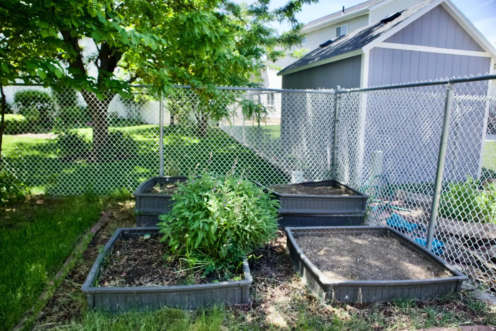 Yard