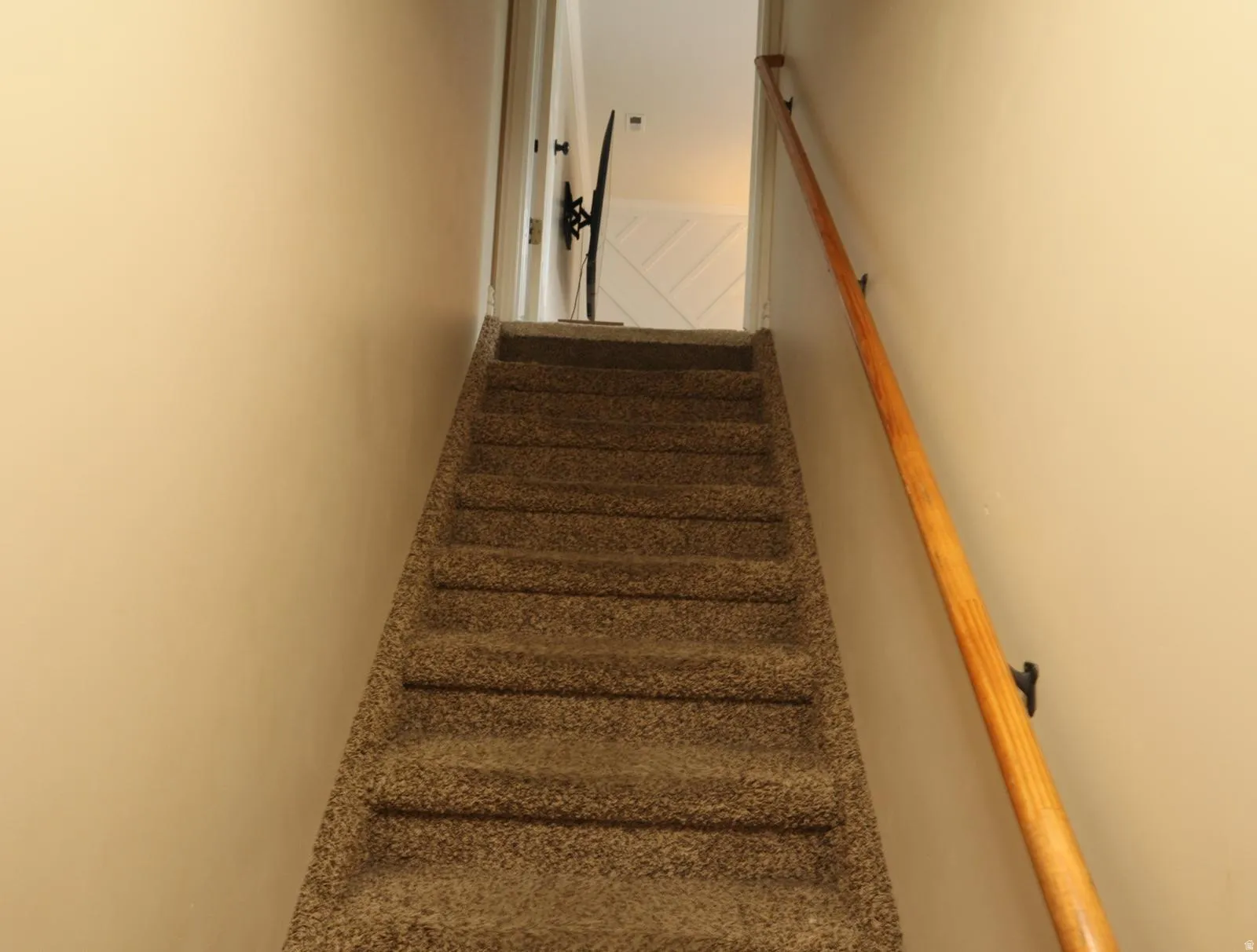 Carpeted staircase with light beige walls and a natural wood handrail