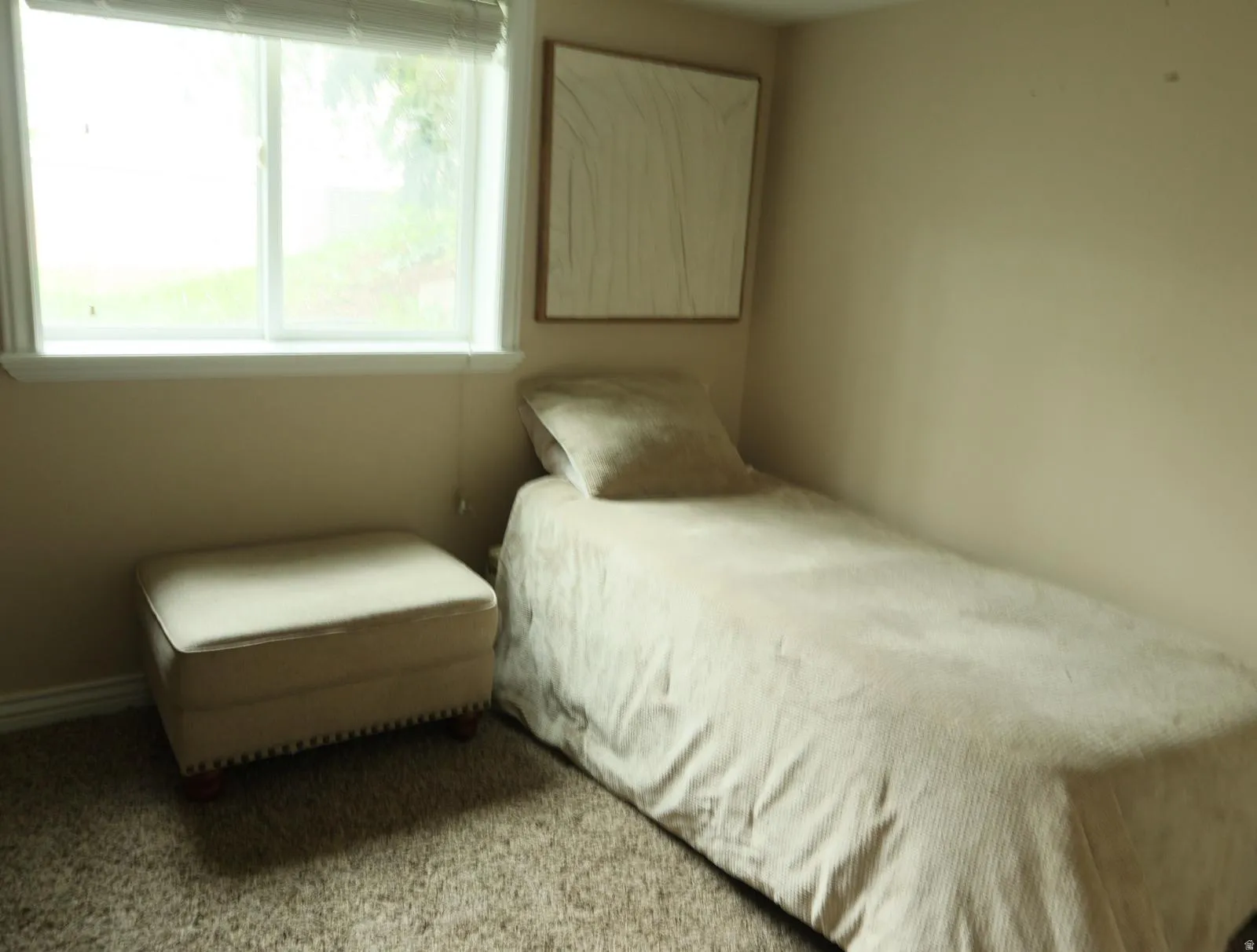 Carpeted room with a double-pane window featuring white blinds