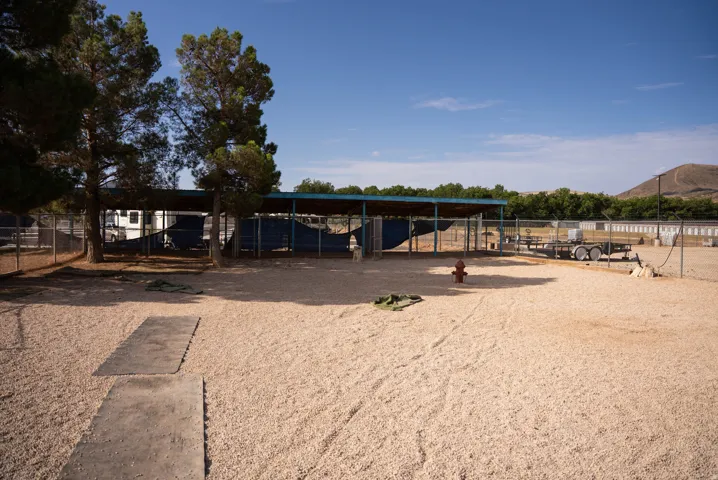 Expansive outdoor area featuring a gravel surface, shade structures, chain-link fencing, and mature trees