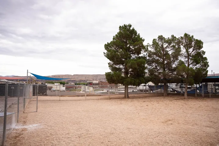 Open recreation area featuring a natural ground surface, mature evergreen trees, and perimeter chain link fencing