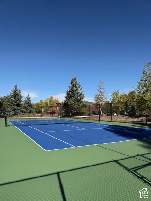 Tennis court featuring a high-contrast blue and green hard surface, full-perimeter chain-link fencing, and mature pine tree landscaping