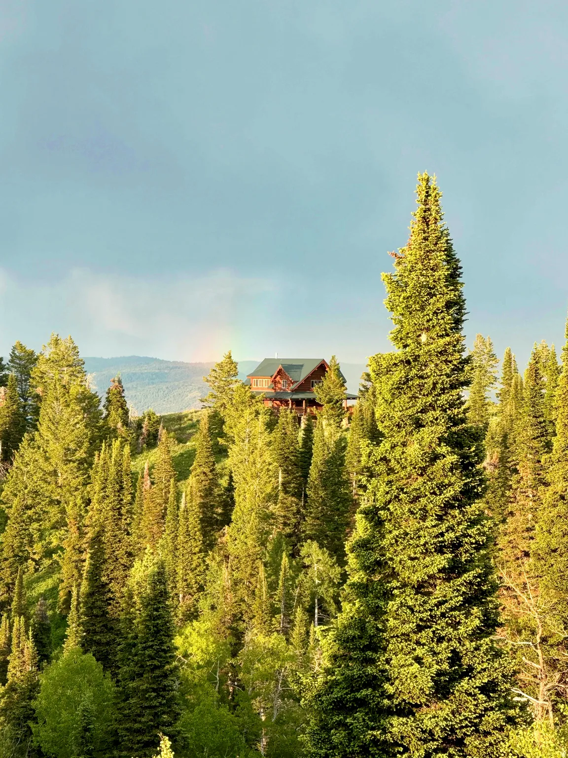 Mountain-side residence featuring extensive natural wood siding and a dark roofline