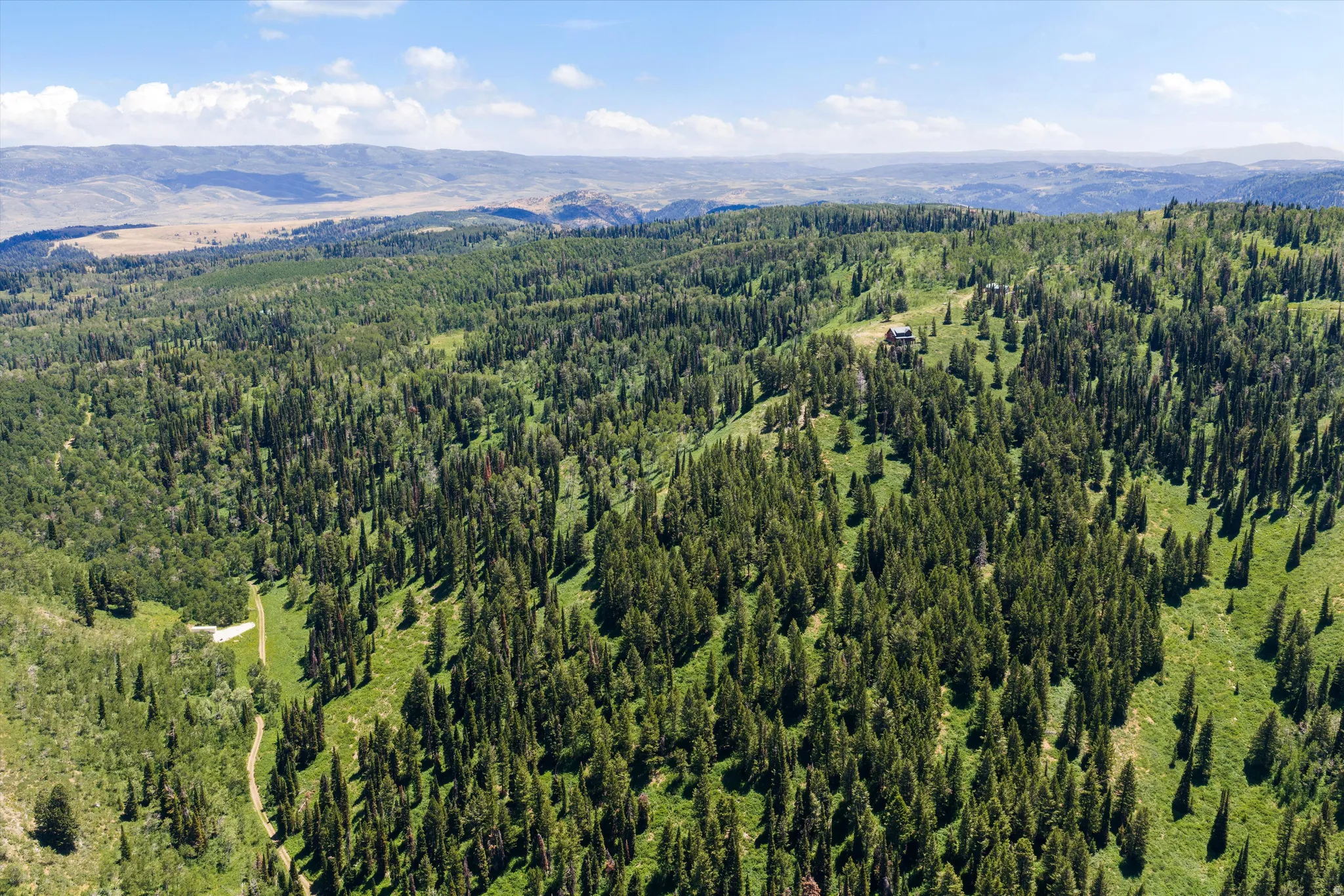 Expansive mountain property featuring dense evergreen forests and distant undulating terrain