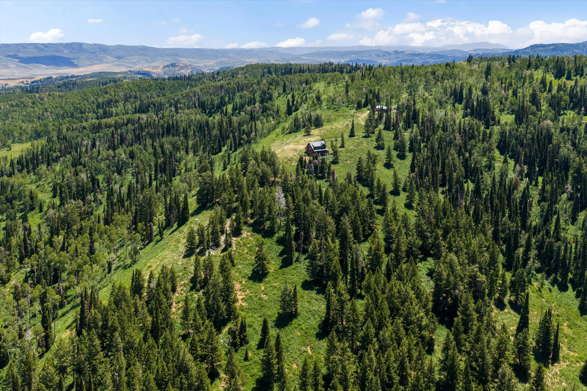 Mountainous terrain with dense evergreen forests and distant hills under a clear sky