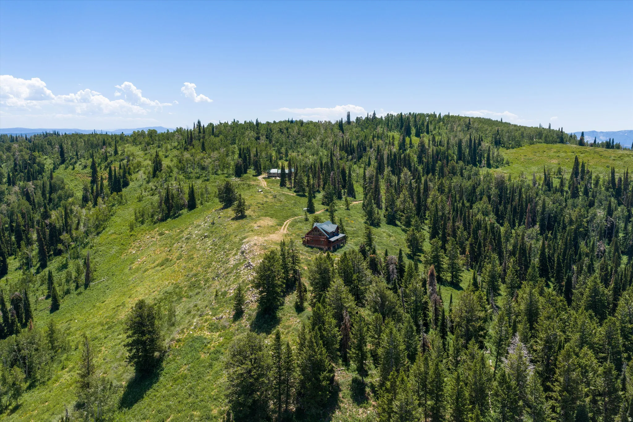 Expansive land parcel featuring dense evergreen tree coverage and open grassy slopes
