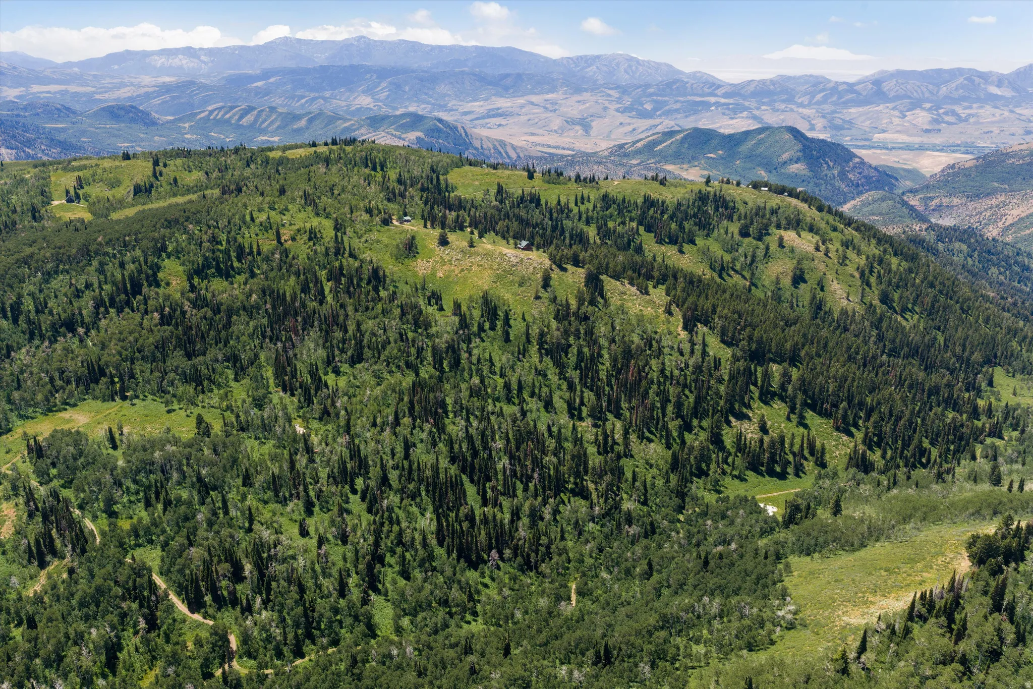 Expansive mountain terrain featuring diverse tree coverage, varied elevations, and natural clearings