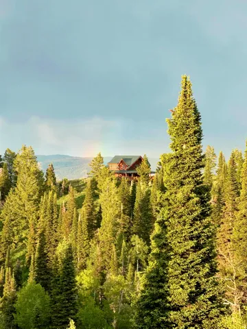 Mountain-side residence featuring extensive natural wood siding and a dark roofline