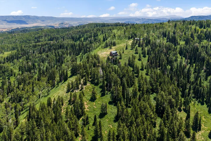 Mountainous terrain with dense evergreen forests and distant hills under a clear sky
