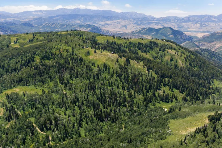 Expansive mountain terrain featuring diverse tree coverage, varied elevations, and natural clearings