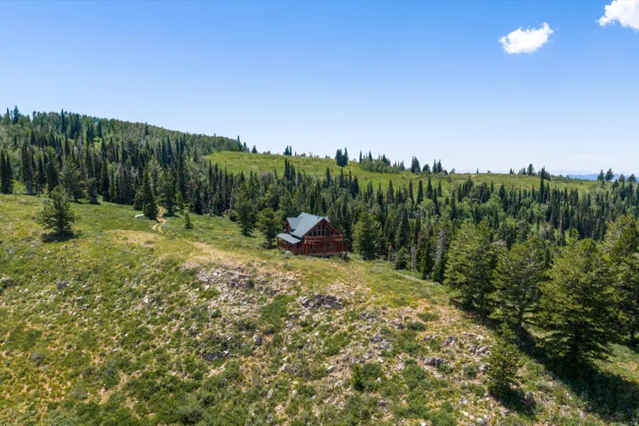 Wood-sided cabin with a dark-pitched roof, nestled on a hillside