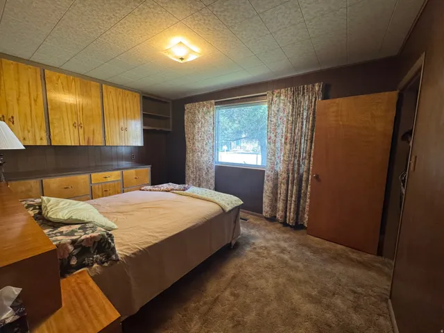Built-in cabinetry with wood-finish doors and drawers, wall-to-wall carpeting, and a window with natural light