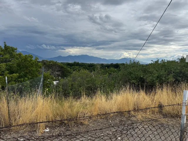 Expansive mountain range backdrop with an established tree line and varied green foliage