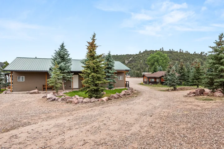 Ranch-style residence featuring a metal roof and brown siding, surrounded by mature evergreen trees