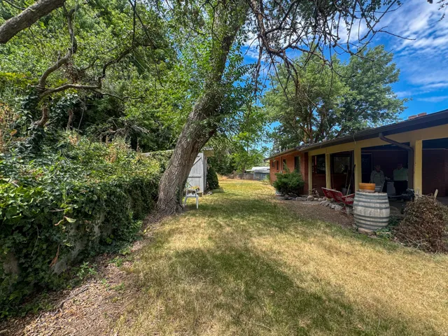Expansive backyard featuring mature trees, a detached storage shed, and a covered patio