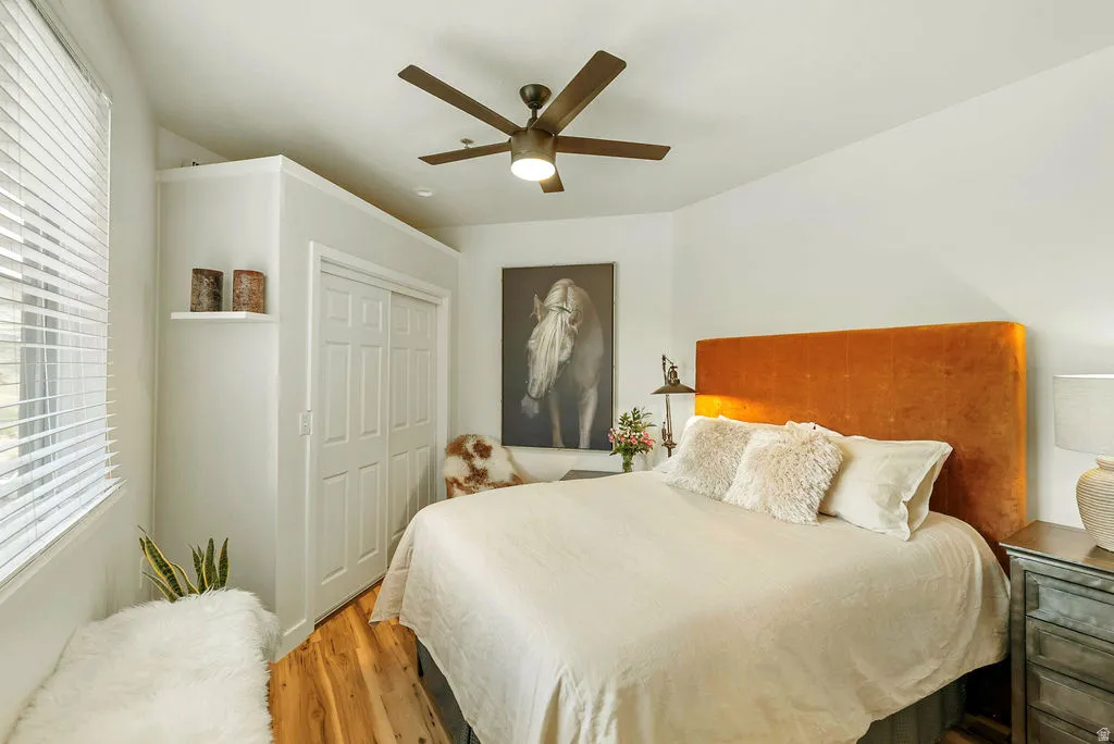 Luxurious bedroom with lots of light. Ceiling fan, spacious closet and large window