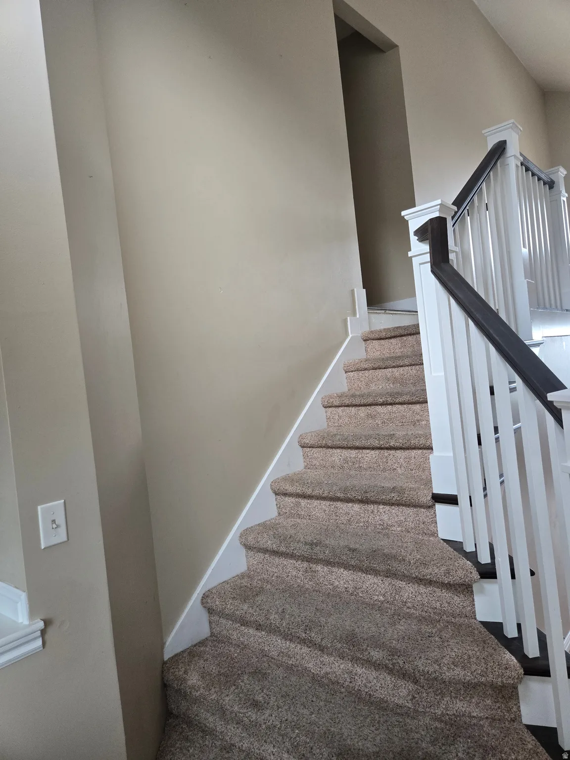 Curved staircase featuring carpeted treads, white risers, and a balustrade with white newel posts and dark wood-finish handrails