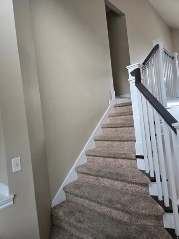 Curved staircase featuring carpeted treads, white risers, and a balustrade with white newel posts and dark wood-finish handrails