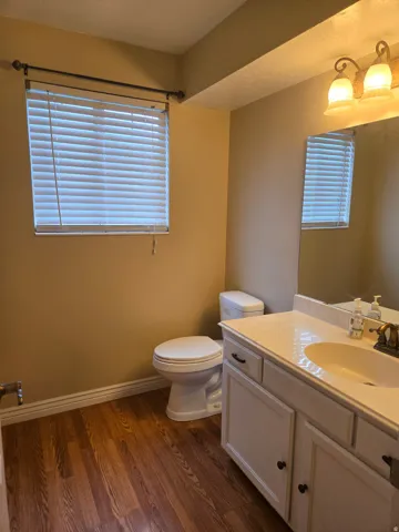 Bathroom featuring wood-finish flooring, a white vanity with a light-colored countertop, a single basin sink, and a white toilet