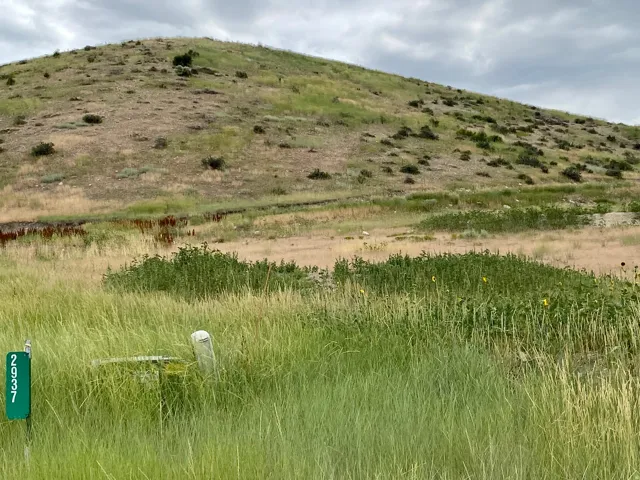 Expansive undeveloped lot featuring varied topography, natural vegetation, and a clear property marker