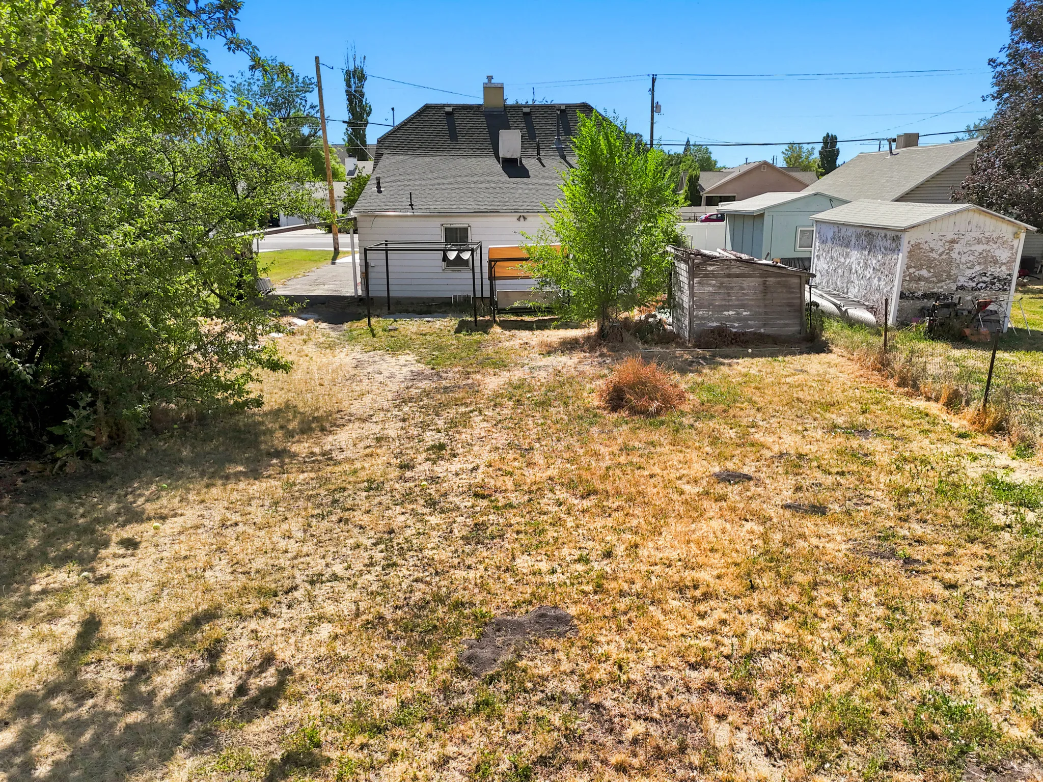 Expansive rear yard featuring a grass lawn, mature trees, and two accessory sheds