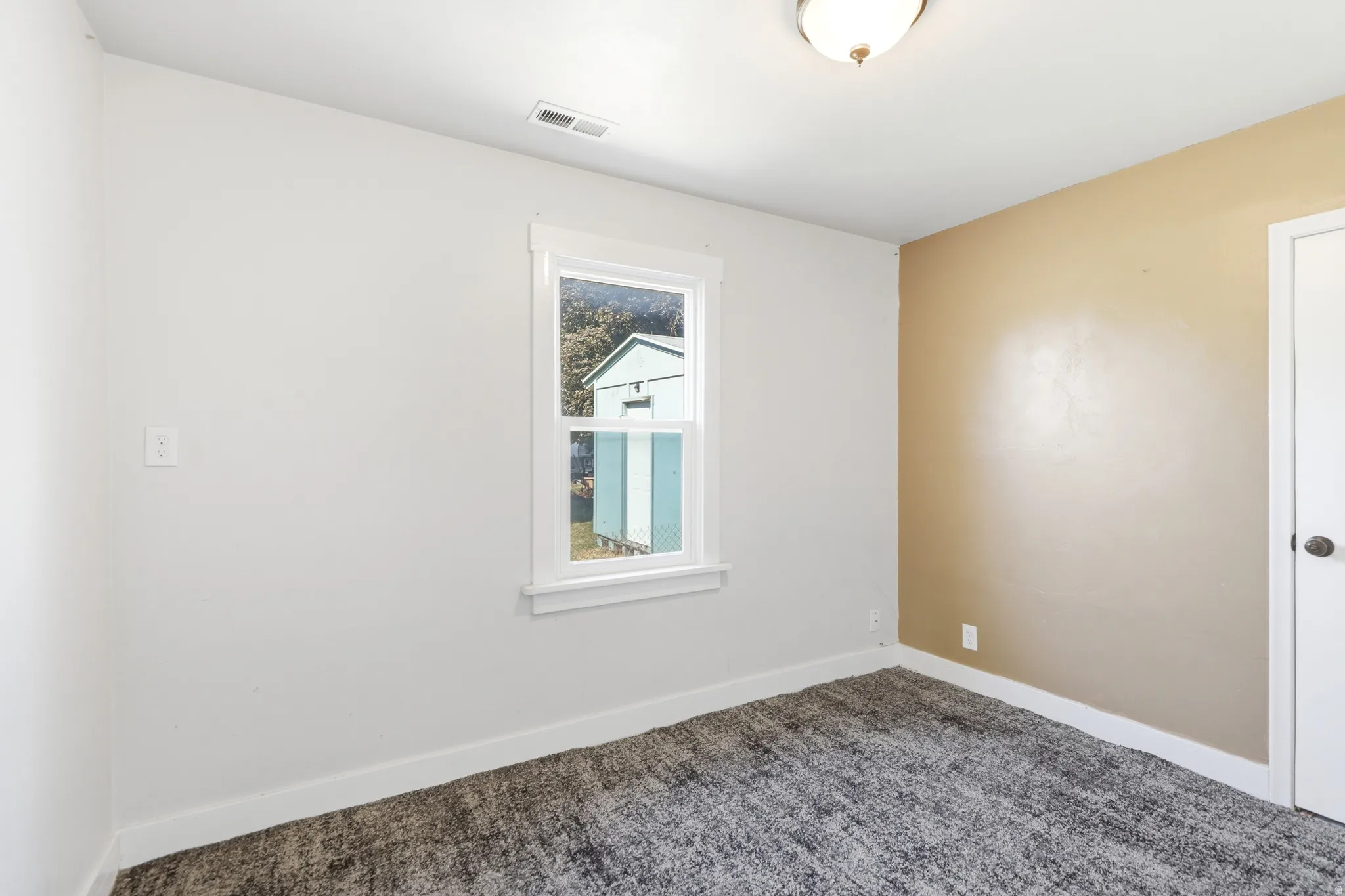 Interior room featuring a single-pane window with white trim, a flush-mount ceiling light fixture, a white interior door with dark hardware, a light brown accent wall, and patterned grey carpeting