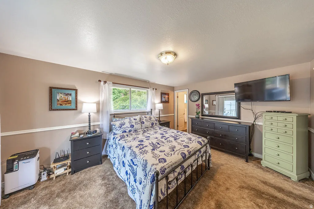 Carpeted bedroom featuring a large window, neutral wall paint with white wainscoting, and a ceiling-mounted light fixture