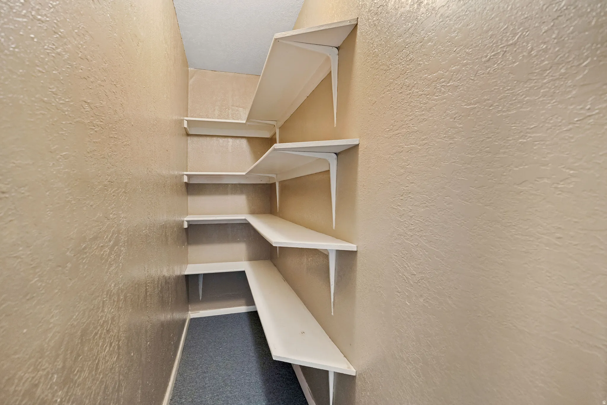 Built-in shelving with white finishes, textured walls, and carpet flooring