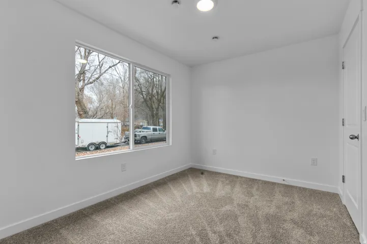 Room featuring a large window, neutral carpeting, white walls, and a ceiling-mounted light fixture